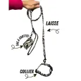 Ensemble Zèbre pour Chien - Collier, Laisse, Sac à Crottes Assortis - Élégance & Style