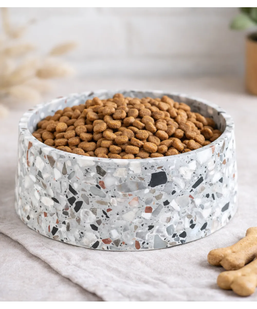 Gros plan sur la gamelle Terrazzo remplie de croquettes