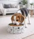 Beagle mangeant dans une gamelle Terrazzo dans le salon