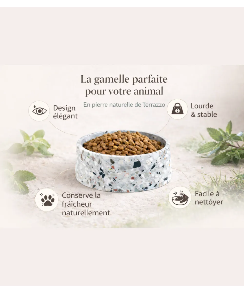 Présentation de la gamelle Terrazzo pour chien et chat