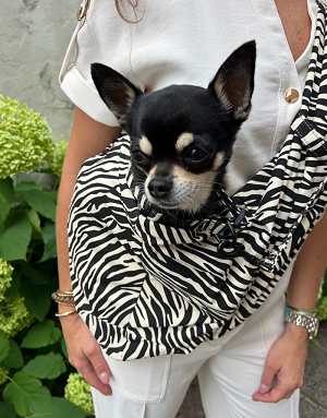 Petit chien dans sac bandoulière motif zèbre – balade stylée