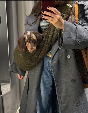 Sortie en ville avec le sac bandoulière Teddy kaki pour chien