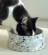 Chat noir et blanc mangeant dans une gamelle Terrazzo