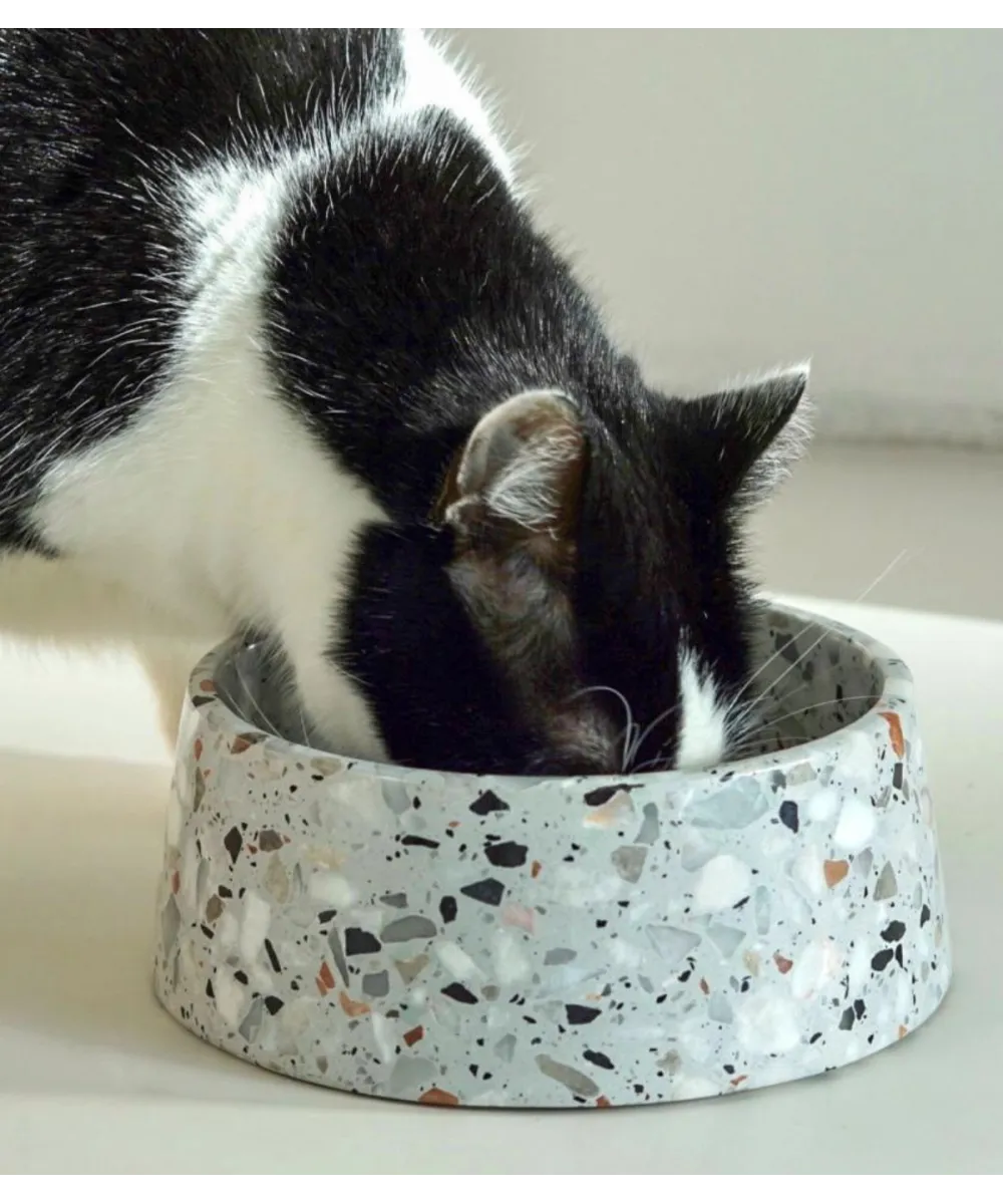Chat noir et blanc mangeant dans une gamelle Terrazzo