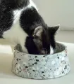 Chat noir et blanc mangeant dans une gamelle Terrazzo