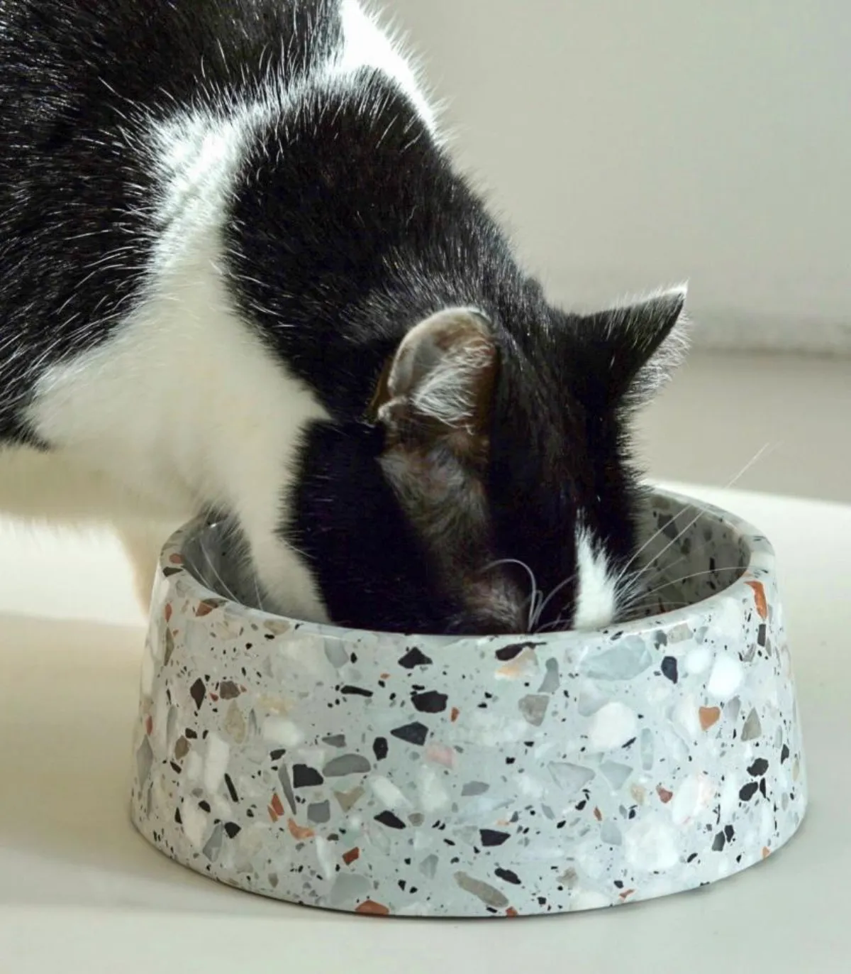 Chat noir et blanc mangeant dans une gamelle Terrazzo