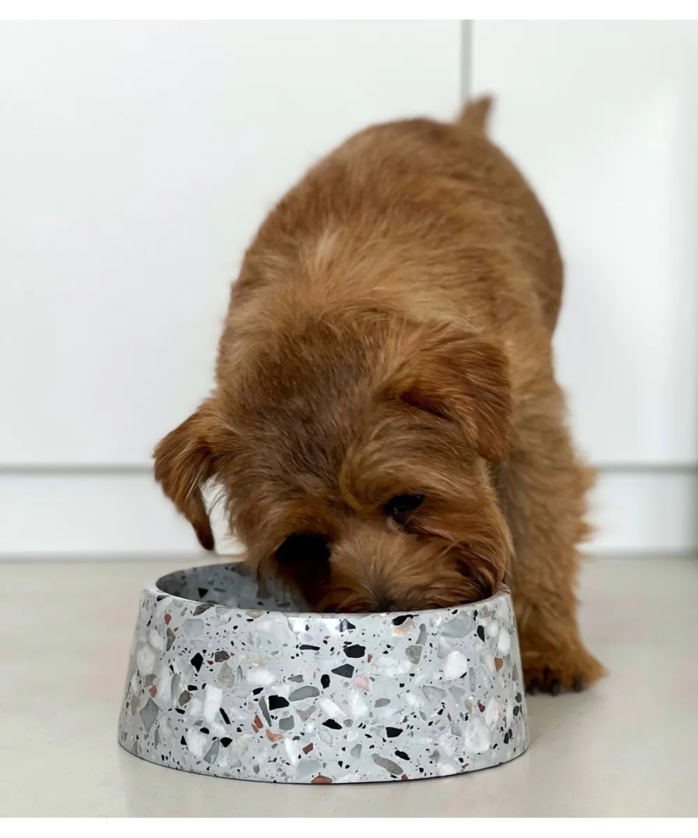 Gamelle en pierre naturelle Terrazzo - Bella concept store dog