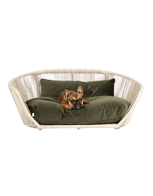 Zoom tissu velours vert olive du lit LABONI pour chien
