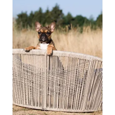 Lit design LABONI Vogue Olive dans intérieur raffiné