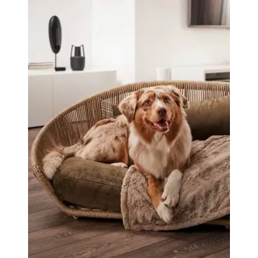 Chien dans lit LABONI Vogue Oxford – cadre en fibre tressée