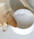 Gamelle en marbre blanc de Carrare pour chien et chat – vue de dessus.