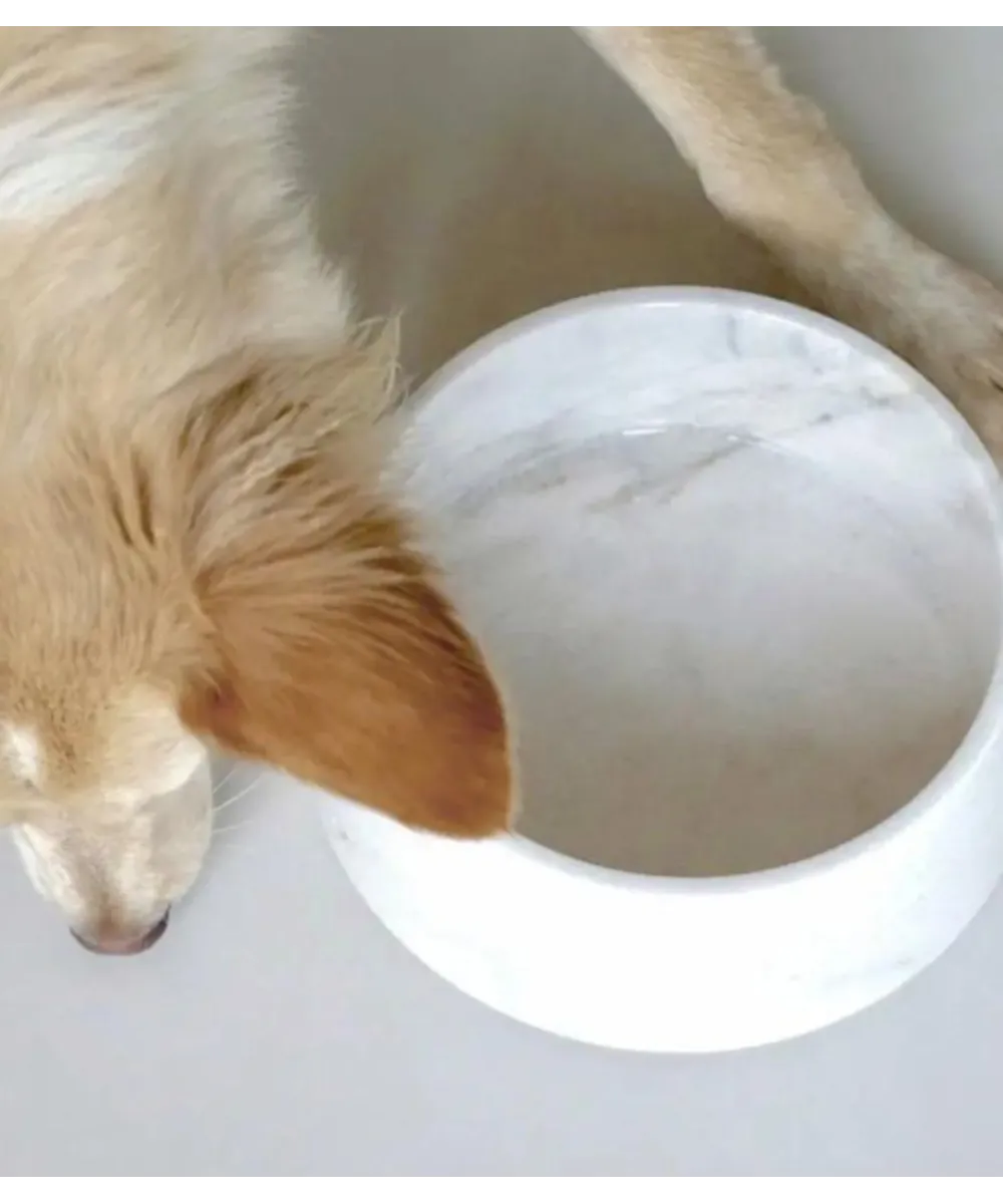 Gamelle en marbre blanc de Carrare pour chien et chat – vue de dessus.