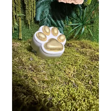 Écrin doré pour chien – vue en extérieur sur herbe – savon Canacciu artisanal