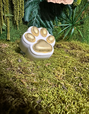 Écrin doré pour chien – vue en extérieur sur herbe – savon Canacciu artisanal