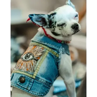 Veste L’Ochju Turchinu sur chien – Création unique Corse – Jean recyclé – Bella Concept Store Dog