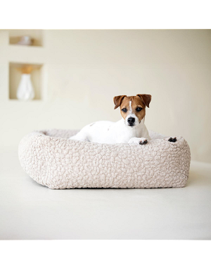 Petit chien sur le lit Bellagio LABONI – confort et douceur