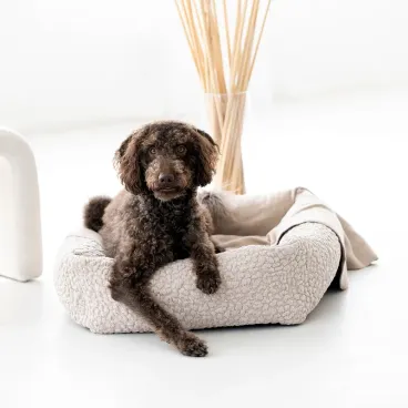Chien noir sur le lit Bellagio LABONI – design haut de gamme