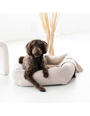 Chien noir sur le lit Bellagio LABONI – design haut de gamme