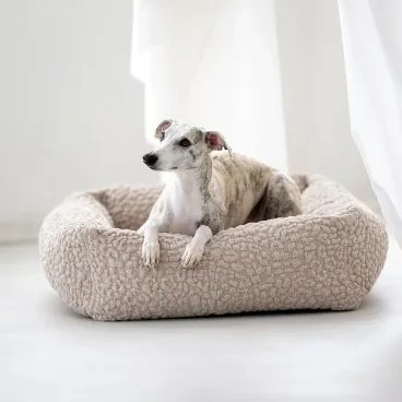 Jack Russell sur le lit Bellagio LABONI – couchage douillet