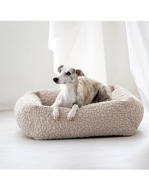 Jack Russell sur le lit Bellagio LABONI – couchage douillet