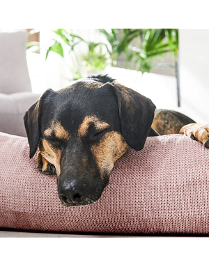 Lit pour chien design Tubor rose - Laboni