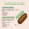 Pâtisserie dentaire pour chien - Le moelleux Delamour