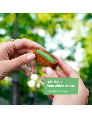 friandise-bucco-dentaire-chien-delamour-anti-tartre-naturel