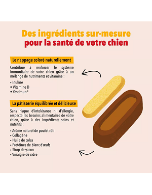 patisserie-chien-renfort-immunitaire-delamour