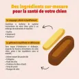 Moelleux immunité pour chien Delamour