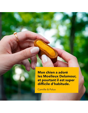 friandise-artisanale-chien-delamour