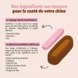 Moelleux pelage soyeux pour chien Delamour