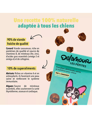 pepites-chien-delamour-recette-canard