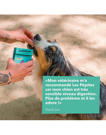 pepites-canard-naturelles-chien-bella-concept-store-dog