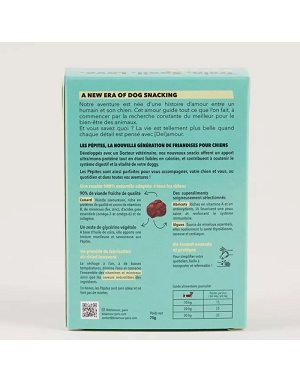 riandises-chien-superaliments-abricot-algues