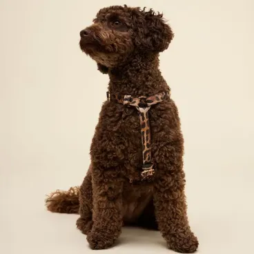 harnais-y-cuir-vegan-detail-poitrail