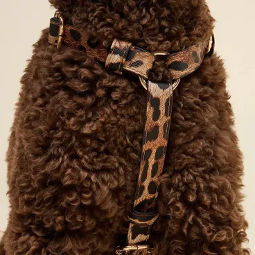 Harnais Léopard en Y - Cuir vegan - Luxe & confort