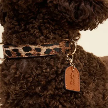 Collier Léopard pour chien - Luxe & confort