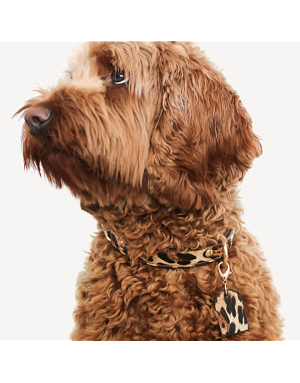 collier-leopard-chien-chic-bella-concept-store-dog