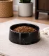 Gamelle en marbre noir remplie de croquettes pour chien.