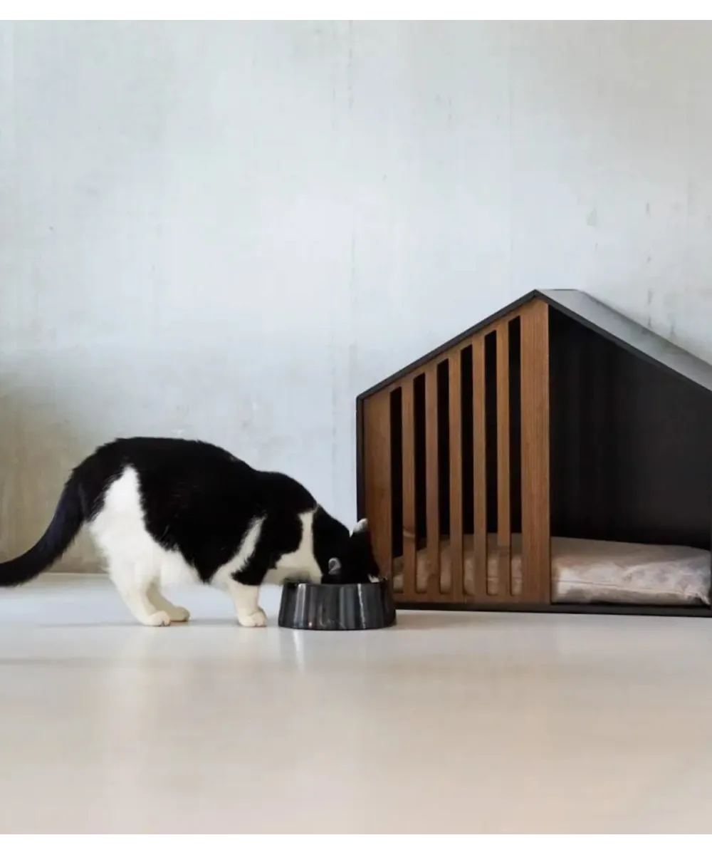 Dimensions de la gamelle en marbre noir pour chien et chat.