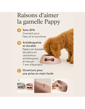 Base antidérapante de la gamelle Pappy rose pour chien