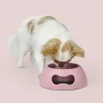 Gamelle antidérapante rose Pappy pour chien - Stabilité & confort