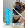 Brosse à dents écologique pour chien & chiot