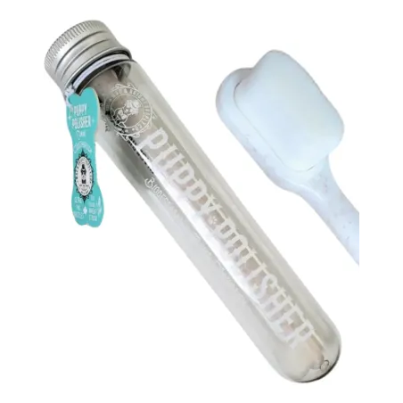 Brosse a dents écologique pour chien et chiot avec dentifrice.