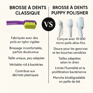 Comparatif brosse à dents classique et brosse à dents pour chien