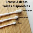 Brosse à dents écologique pour chien & chiot