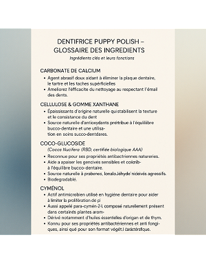 Tube de dentifrice wag and bright pour chien au beurre d'arachide