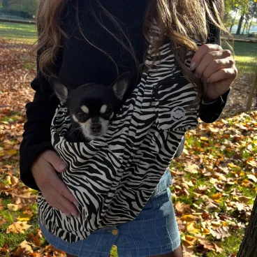sac bandoulière pour chien zèbre - transport facile