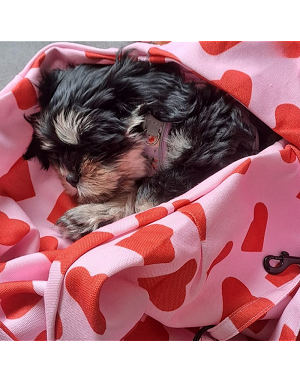 sac de transport pour chien bandoulière - tissu léger et résistant