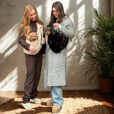 Petit chien assis confortablement à l’intérieur du sac de transport duveteux